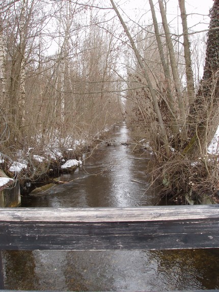 classica foto di un piccolo fiume