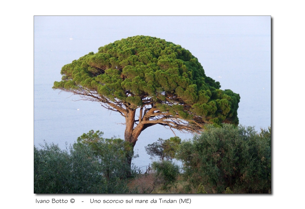 Uno scorcio sul mare
