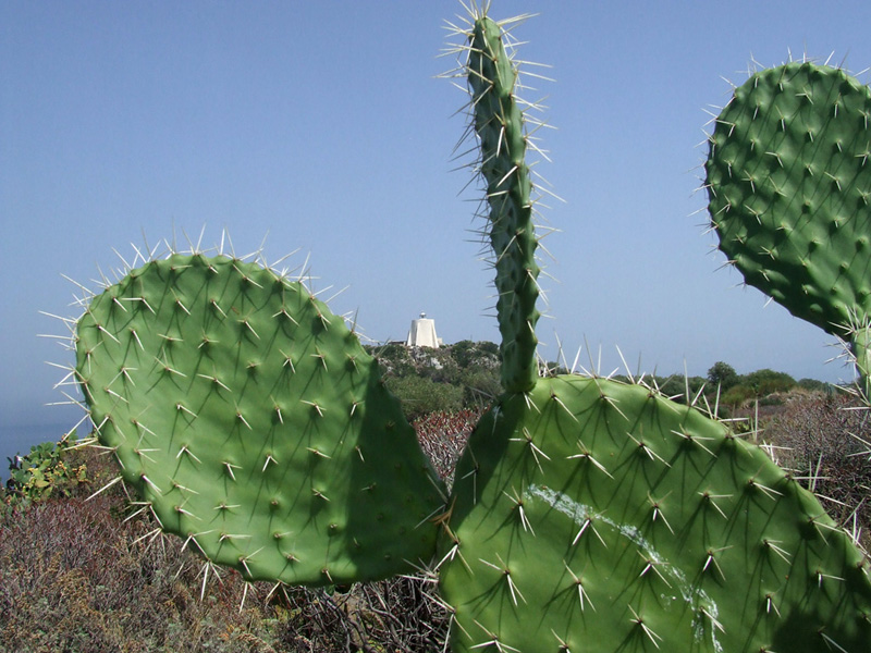 Faro di Capo Milazzo