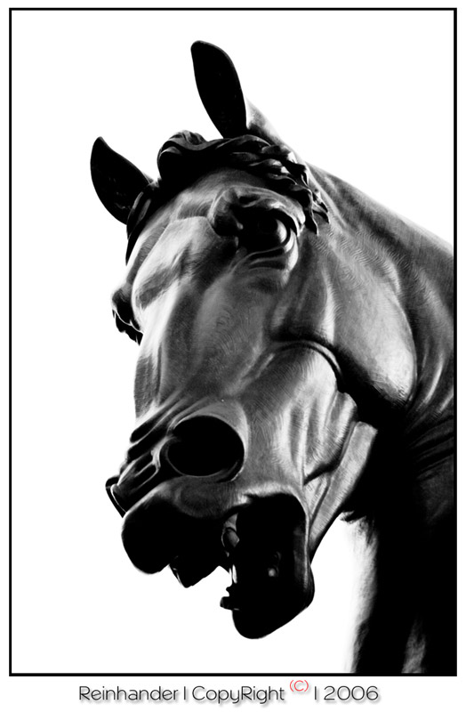 Il cavallo by Leonardo