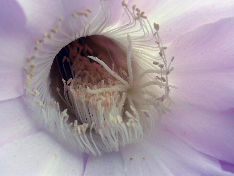 la mia vita iin un giorno...