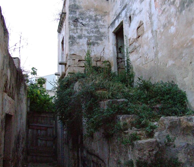 Ruderi in Via Veneziani