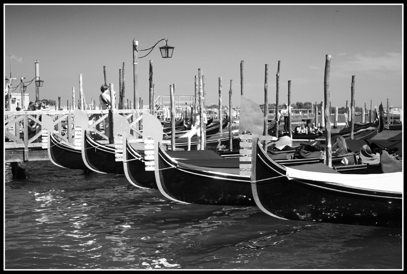 Qualifiche GP di Venezia - prima fila