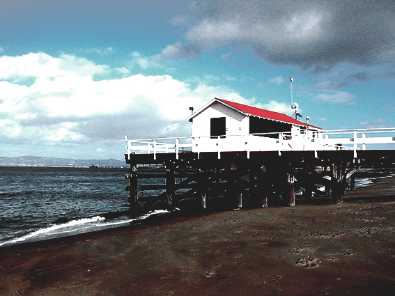 San Francisco Bay Area