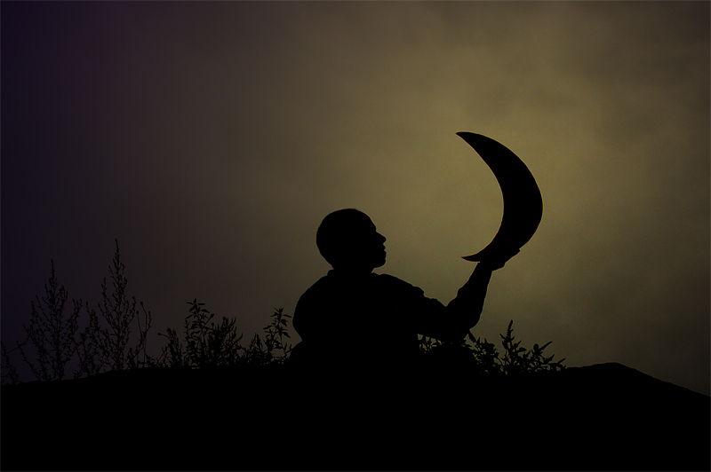 Il mio "Sogno" (contest 20)