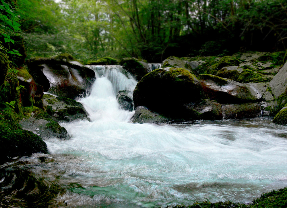 acqua delle dolomiti