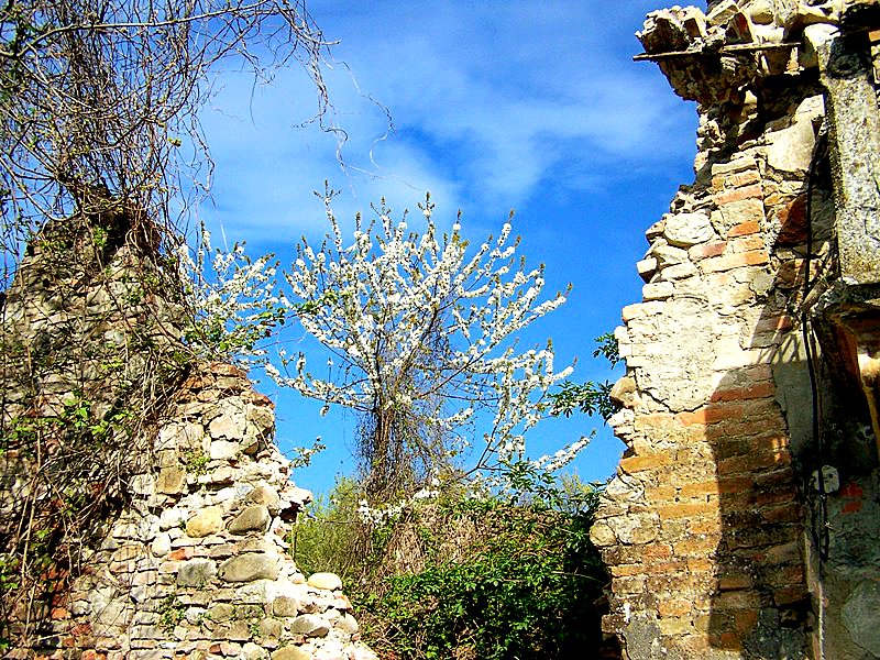 Scorcio di cielo in un vecchio rustico