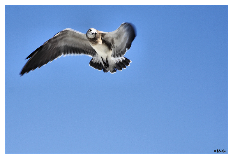 EHI! Mi stai fotografando ?!?