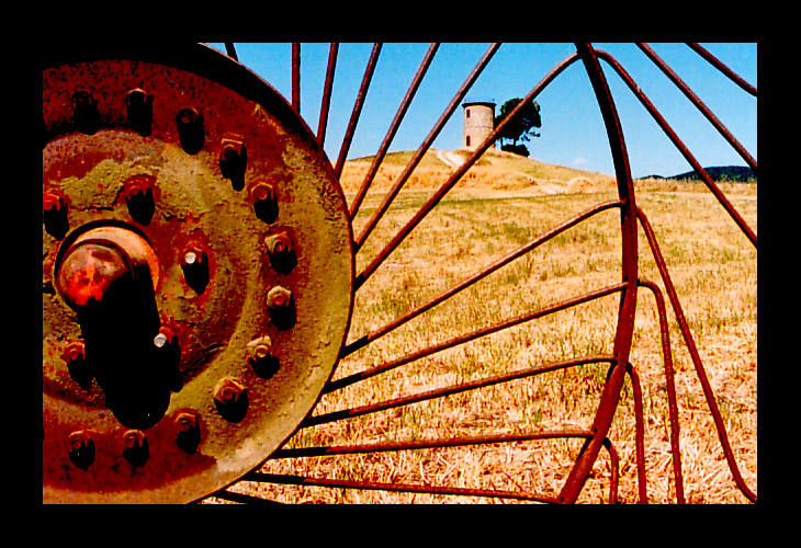 una domenica in campagna