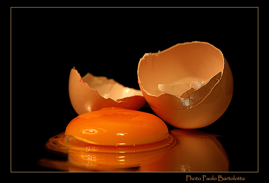 Ho fatto la frittata!!