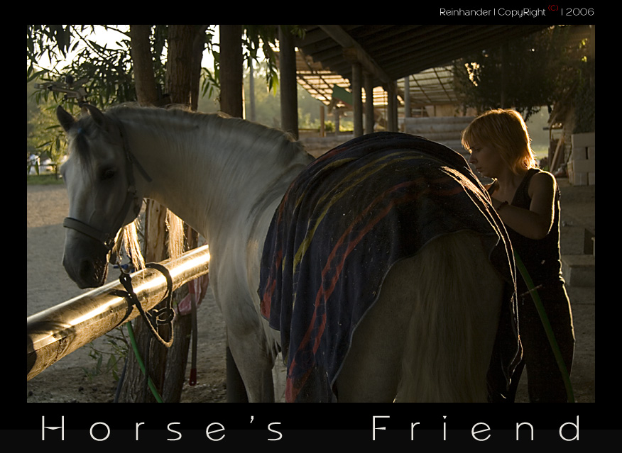 Horse's friend