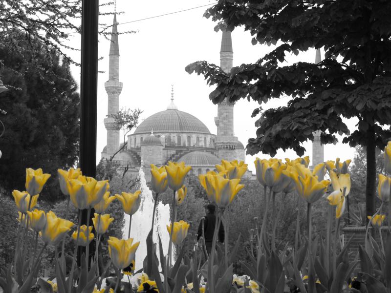 Istanbul 4