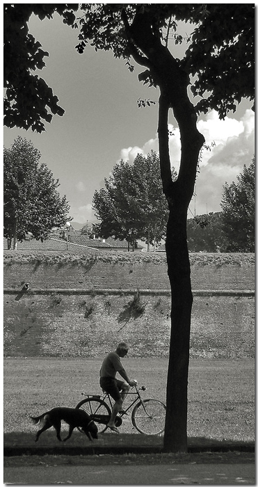 osservai da lontano l'uomo e il cane