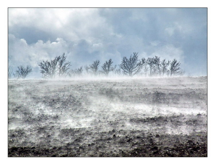 Varie 2006 - Passata la tempesta.....