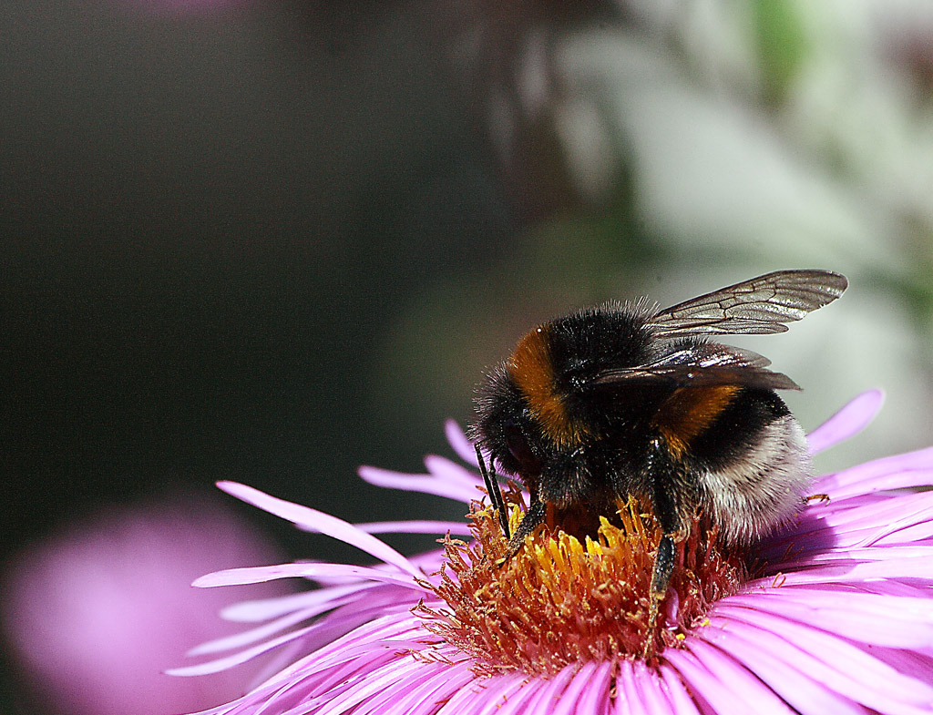 tutto mio e guai a chi me lo tocca!!!!!