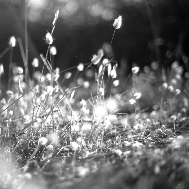 Il tempo se ne va...