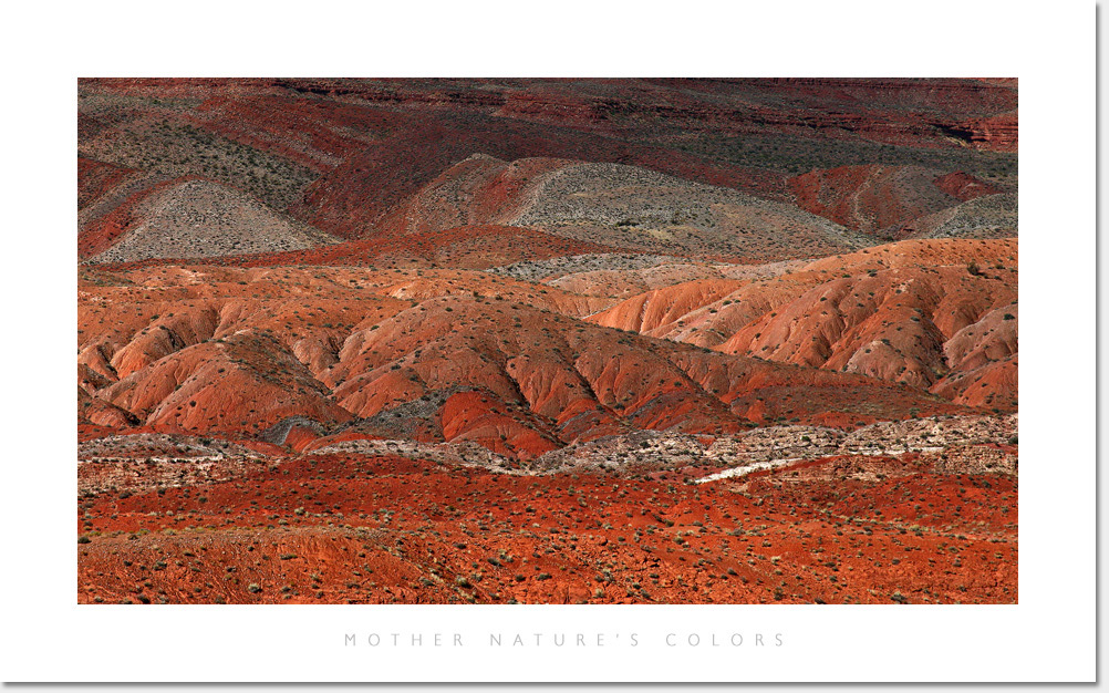 Mother Nature's Colors