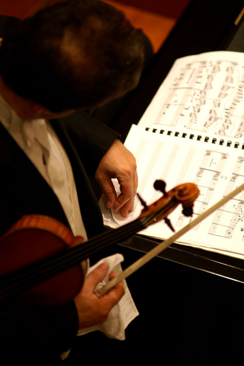 Violinista - Torino Settembre Musica