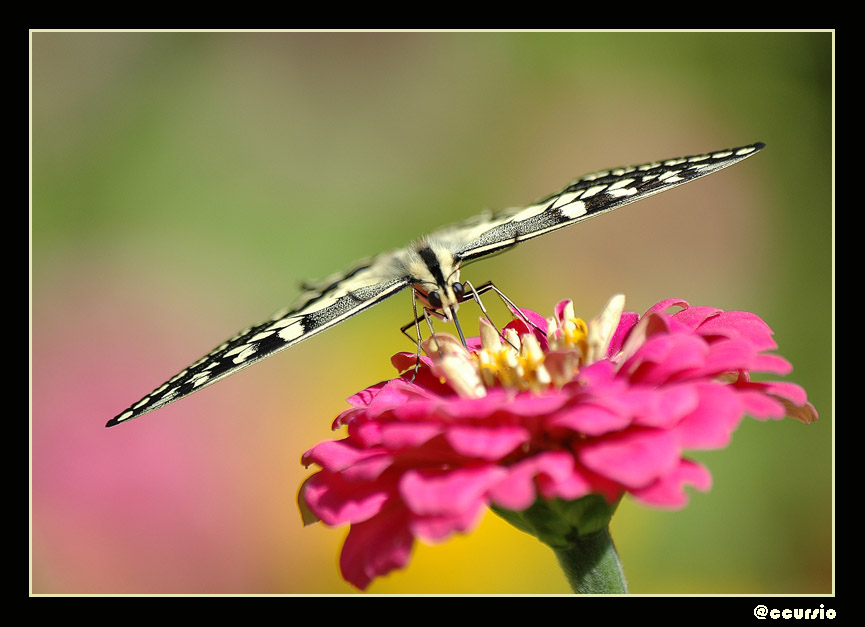 atterraggio riuscito!!