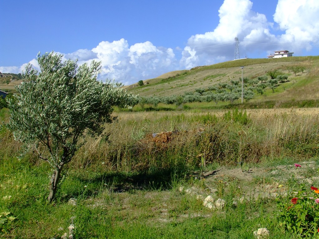 Dietro casa di Vale....