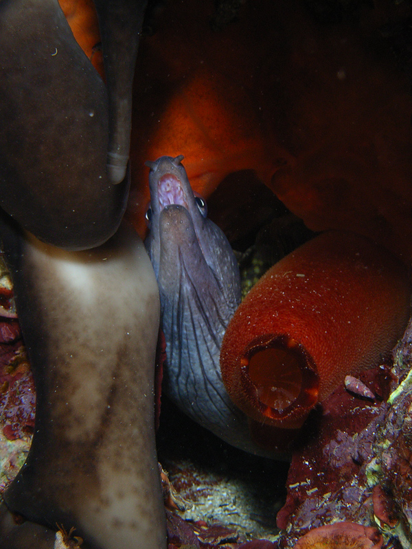 EHI, LASSU', VENITE A RIPRENDERVELO!!!!!