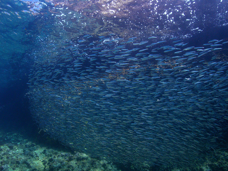 L'URTIMO PAGA DA BEVEEEEEEEEEEEE!!!!!!!