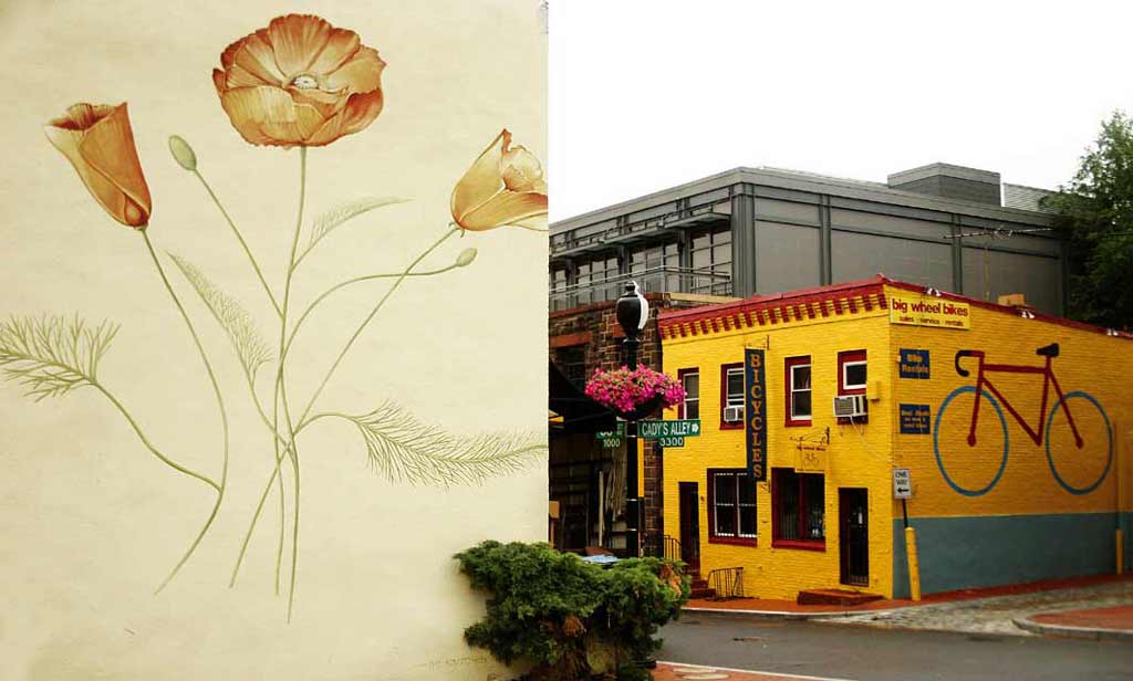 Washington Dc, Photoshop o nice scorcio?!?