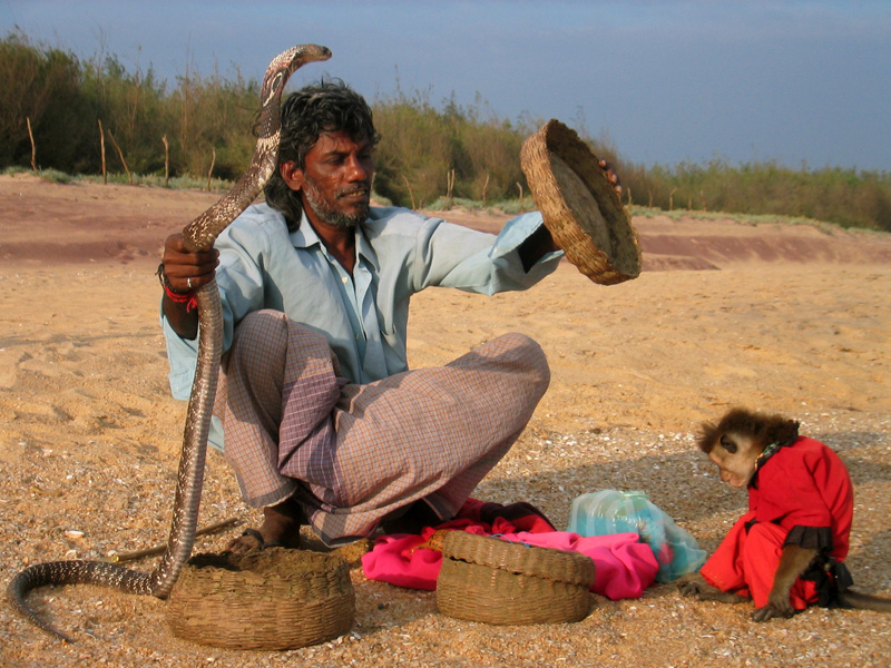incantevole a colori