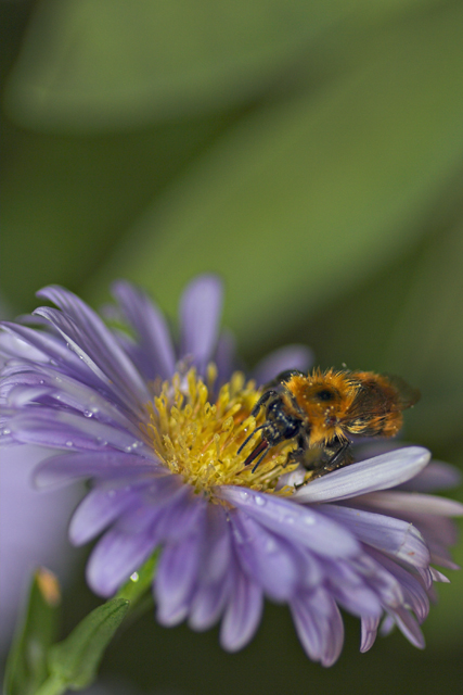 spuntino dopo la doccia