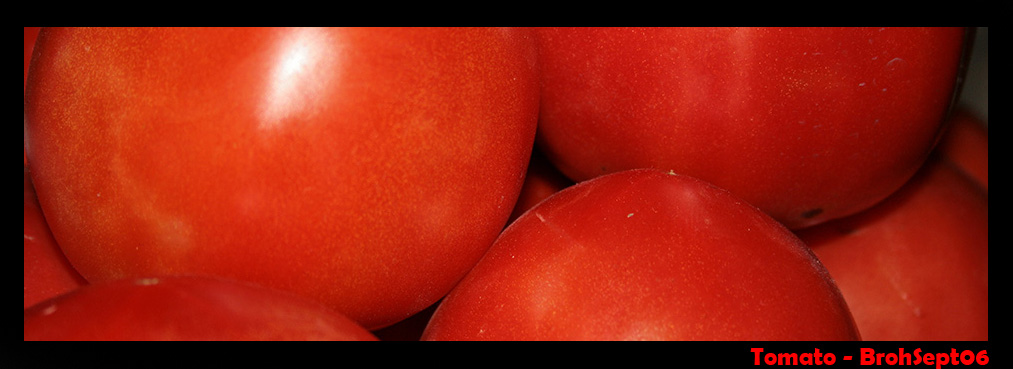 Tomato