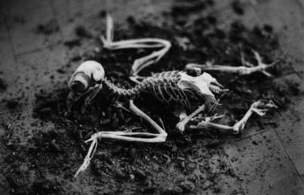 Ex cantieri Breda, Padova (IT)