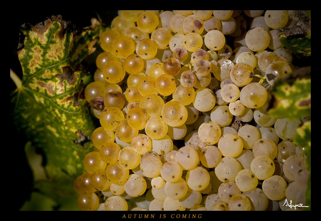 L'Autunno si avvicina....