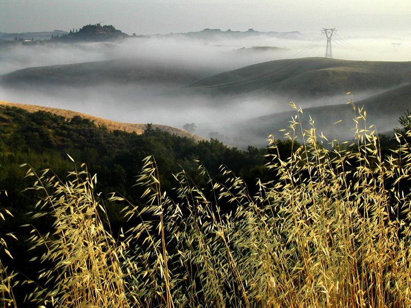 .: toscana luglio 2006 :.