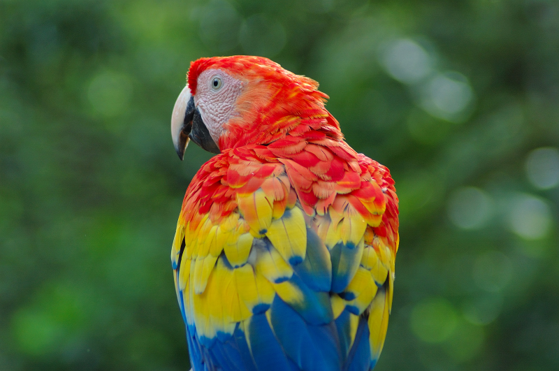 Honduras - Guardami le spalle....