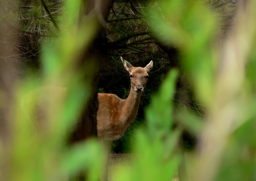 Cavoli...mi ha beccato