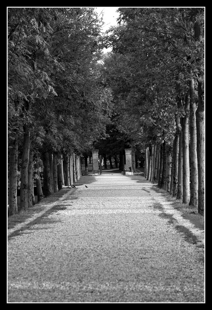 The Road Goes Ever On...