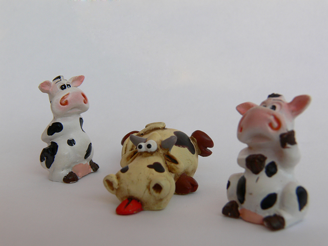 Mucche alla riscossa