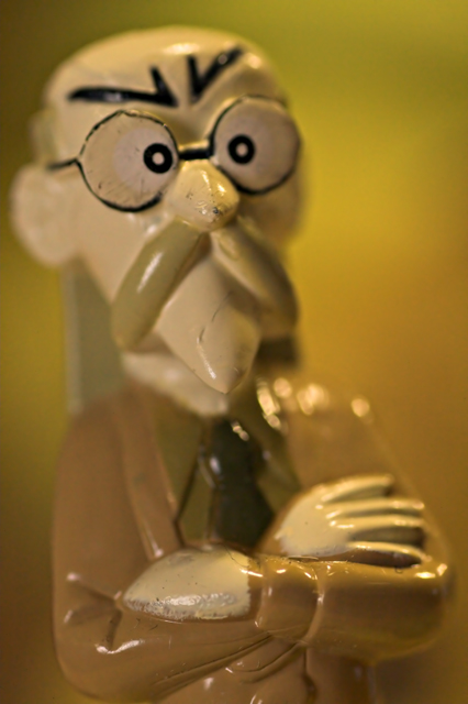 dove sono gli insetti