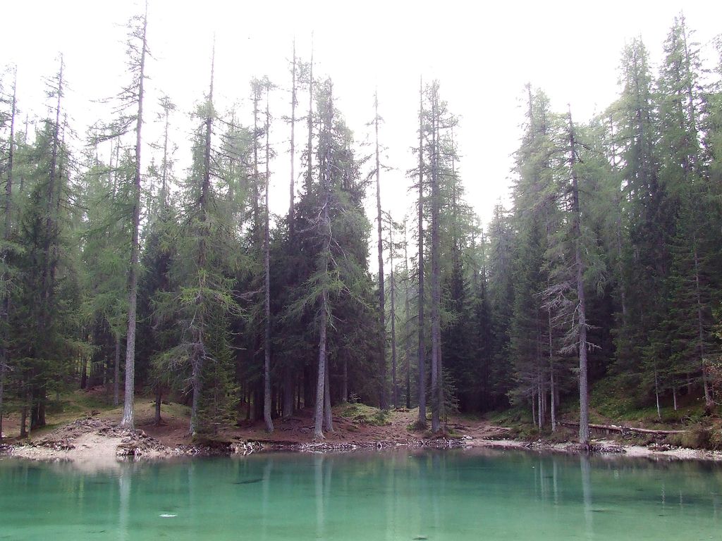 L'incantesimo del lago...