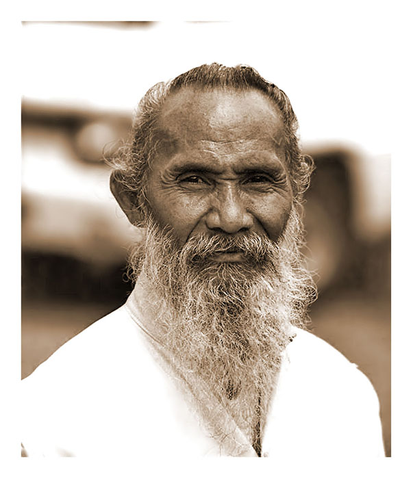 Il guardiano del tempio