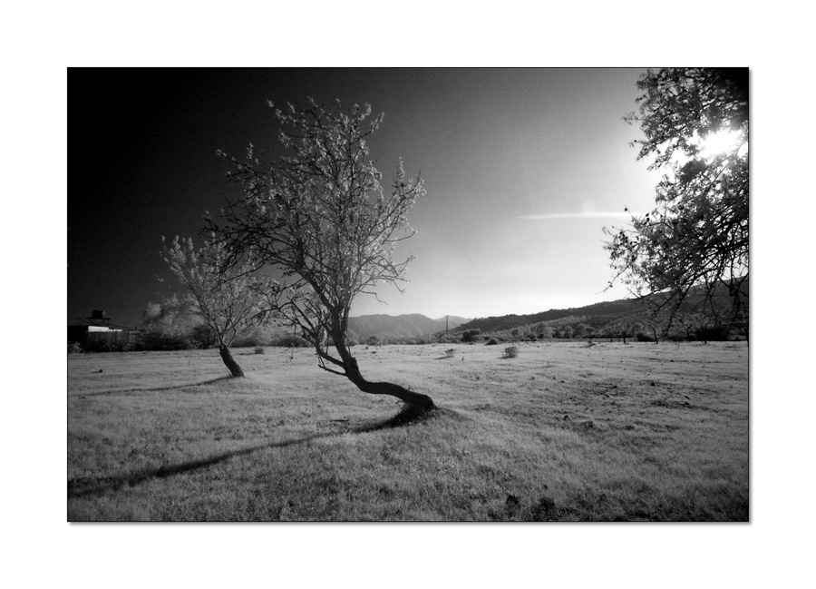 Ir Test No.10 ( And then it bow down to its power )