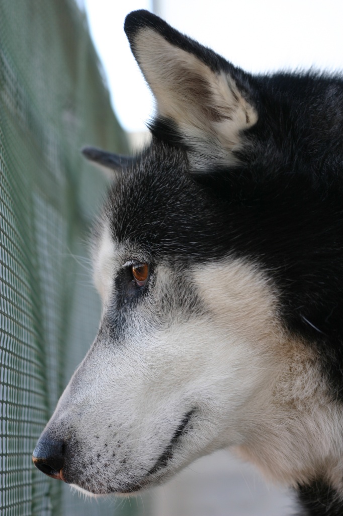 dove ti porta lo sguardo.....
