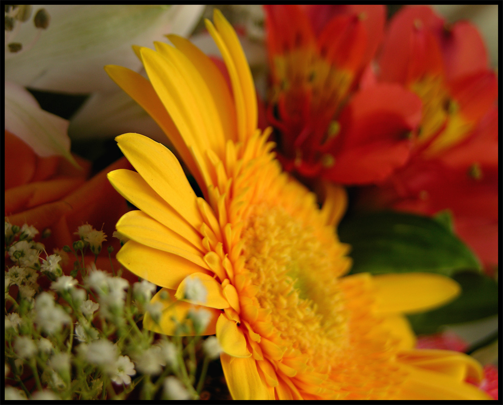 Composizione floreale