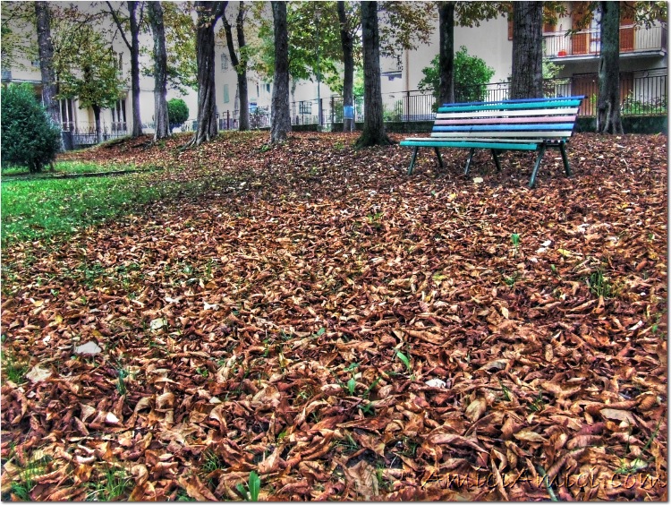 Parco autunnale