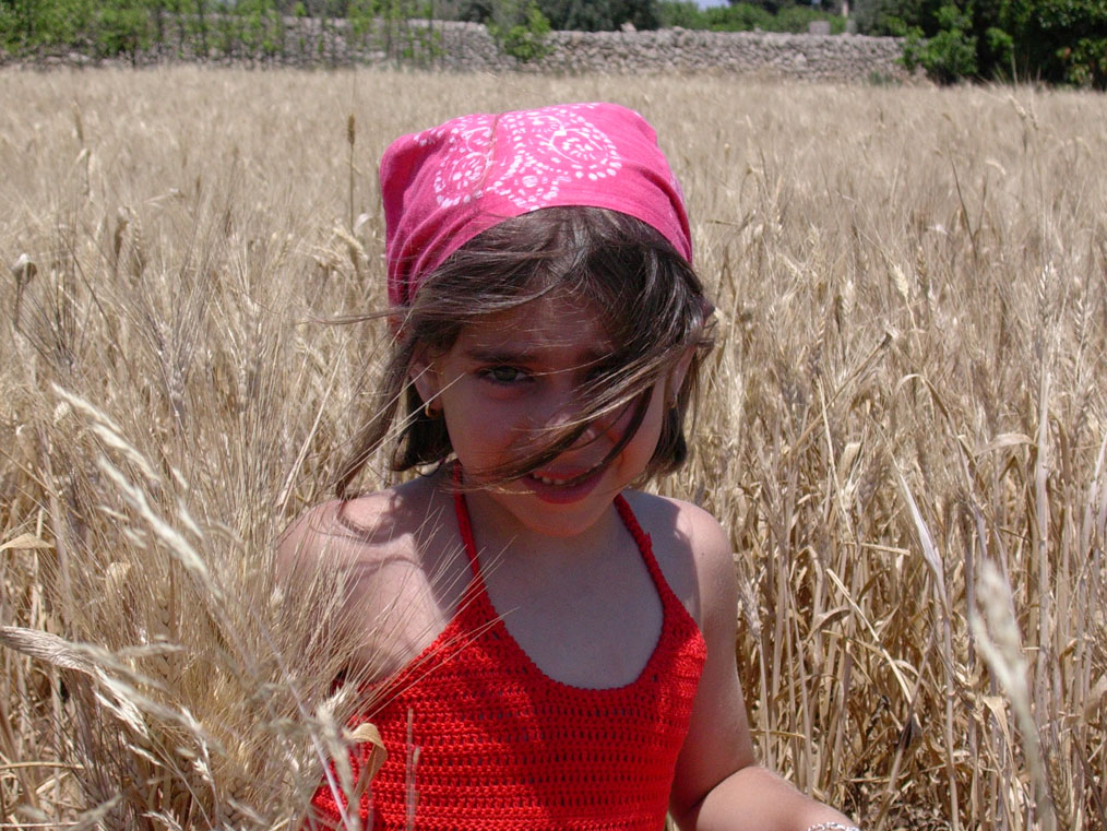 in un campo di grano