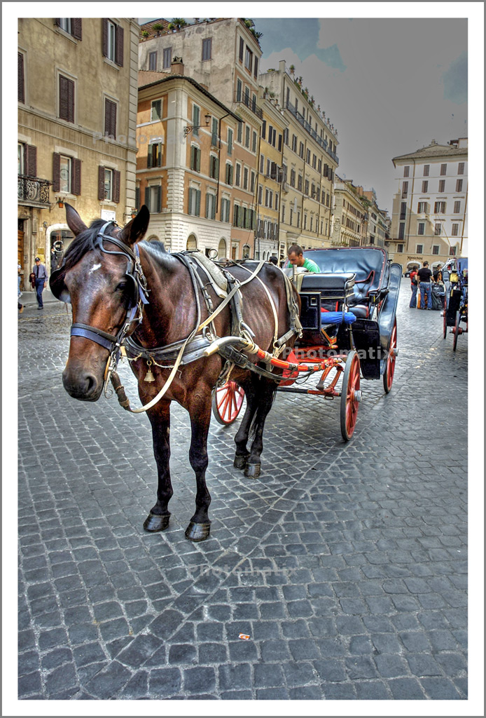 carrozza pz.  Spagna