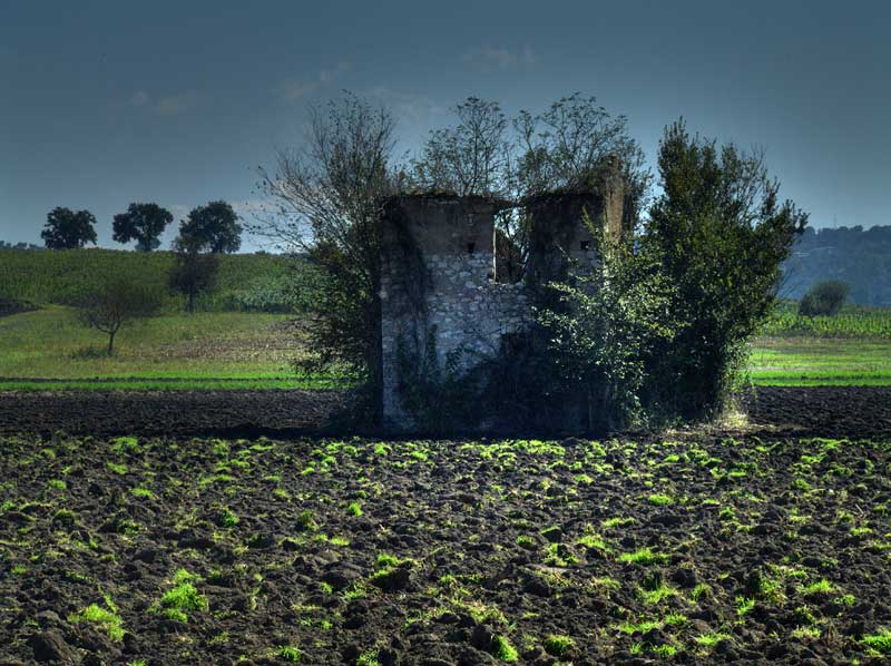 Lasciatemi Pensare...