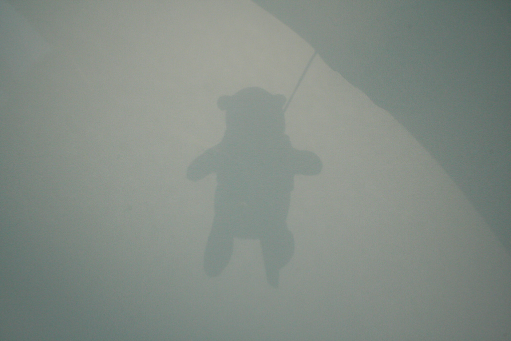 Winny pooh inmpiccato