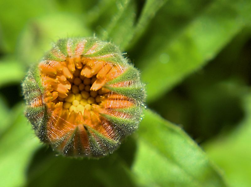 bisogno di sicurezza