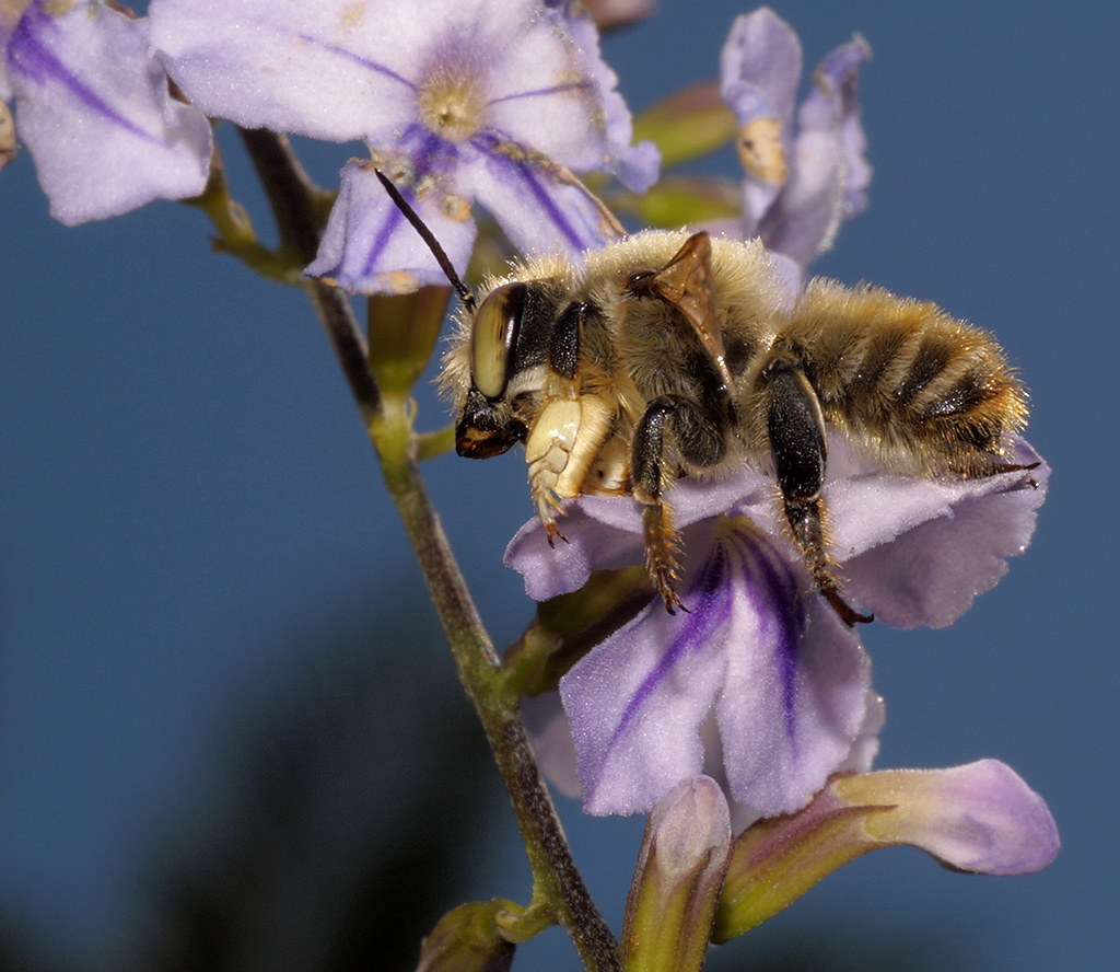 Il mio profilo migliore